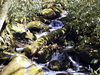 magicmomma > Cascade on Indian Camp Branch along the Maddron Bald Trail