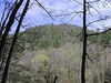 magicmomma > View of Roundtop from the Chestnut Top Trail
GSMNP March 07