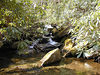 magicmomma > Cascade along Thunderhead Prong
GSMNP April 2007