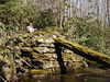 magicmomma > Dan sits at the old bridge crossing of Thunderhead Prong
GSMNP April 2007
