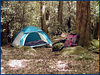 magicmomma > Forney Creek Backpack Trip photo