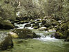 magicmomma > Forney Creek Backpack Trip photo