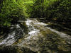 magicmomma > Forney Creek Backpack Trip photo