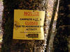 magicmomma > Aggressive Bear Activity Warning Along Forney Creek. Campsite 68 was closed because of bears!