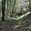 magicmomma > Long Hungry Ridge Trail near CS 92
GB Trip 2008