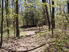 magicmomma > Little Greenbrier Gap is the intersection of Little Greenbrier Gap Trail, Laurel Falls Trail, and the manway leading up to the Cove Mountain Summit Firetower. 
GSMNP May 8, 2007