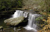 magicmomma > Savage Gulf photo