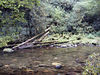 magicmomma > Lush moss carpets the far side of Deep Creek across from CS 56.