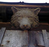 magicmomma > Who's afraid of the big bad wolf?
Wolf staring down from the eaves of The Lily Barn.
Townsend, TN.