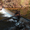 magicmomma > Low dam across Citico Creek