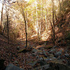 magicmomma > Another view from down in the gorge