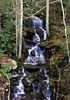 magicmomma > Slinging Log Falls is located alongside the Cherohala Skyway TN