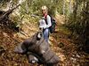 Great Smoky Mountains : Assorted photos of all the different things I've seen in the Smokies.