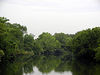 magicmomma > Little River TN