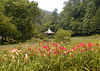 The Lily Barn : The Lily barn in Townsend sells lilies, native wildflowers, and hosts weddings. The grounds are open for taking walks!