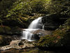 magicmomma > Crocodile Rock Falls on Greasy Prong
Shining Rock Wilderness NC
7/5/07