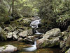 magicmomma > First glimpse of Greasy Prong
Shining Rock Wilderness NC
July 5, 2007