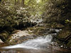 magicmomma > One of many beautiful slides on Greasy Prong
Shining Rock Wilderness NC
July 5 2007