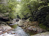 magicmomma > Looking downstream on the East Fork of Pigeon River. The rosebay rhododendron was in peak bloom today.  Shining Rock Wilderness, NC